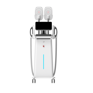 bsesculpt ems machine